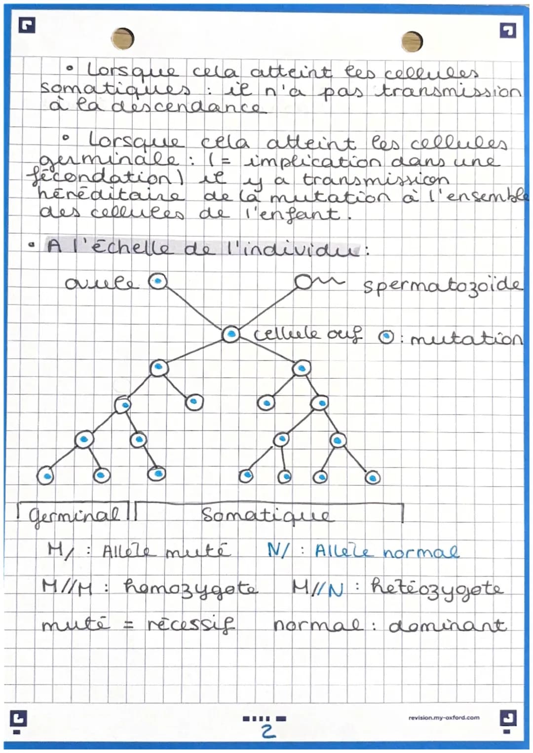 OSPE SVT: Chapz
variabilité génétique
1
l'ensemble des modifications du
genotype d'un individue on du
genome d'une espèce au cours du temps.