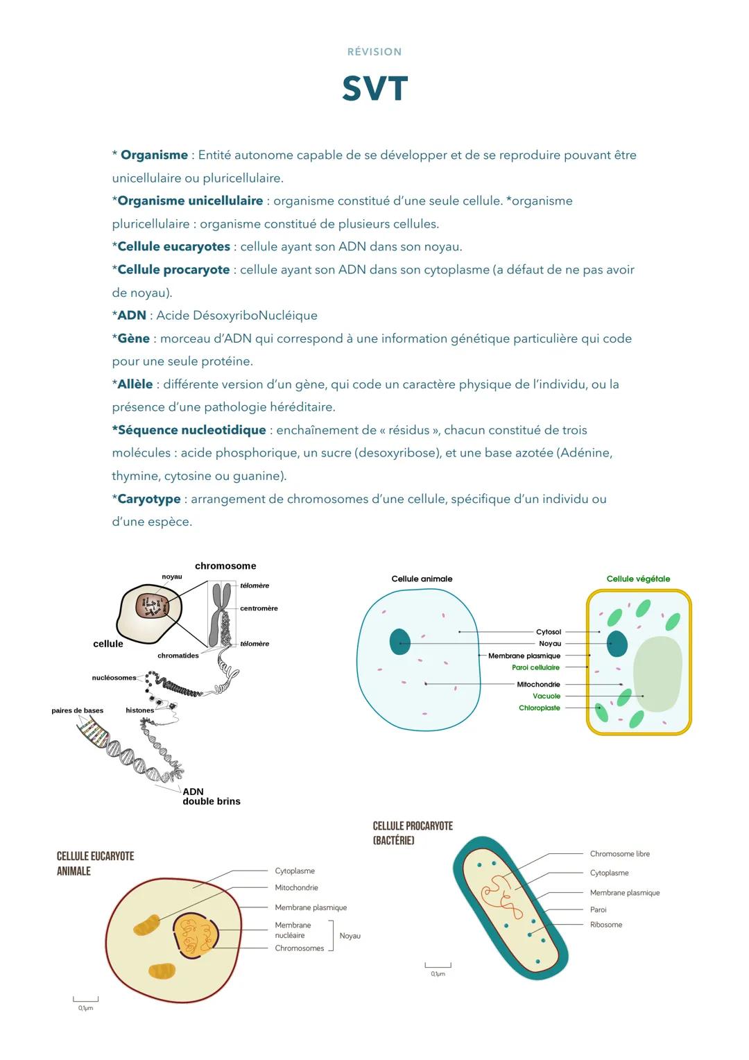 paires de bases
cellule
nucléosomes
៖
* Organisme : Entité autonome capable de se développer et de se reproduire pouvant être
unicellulaire 