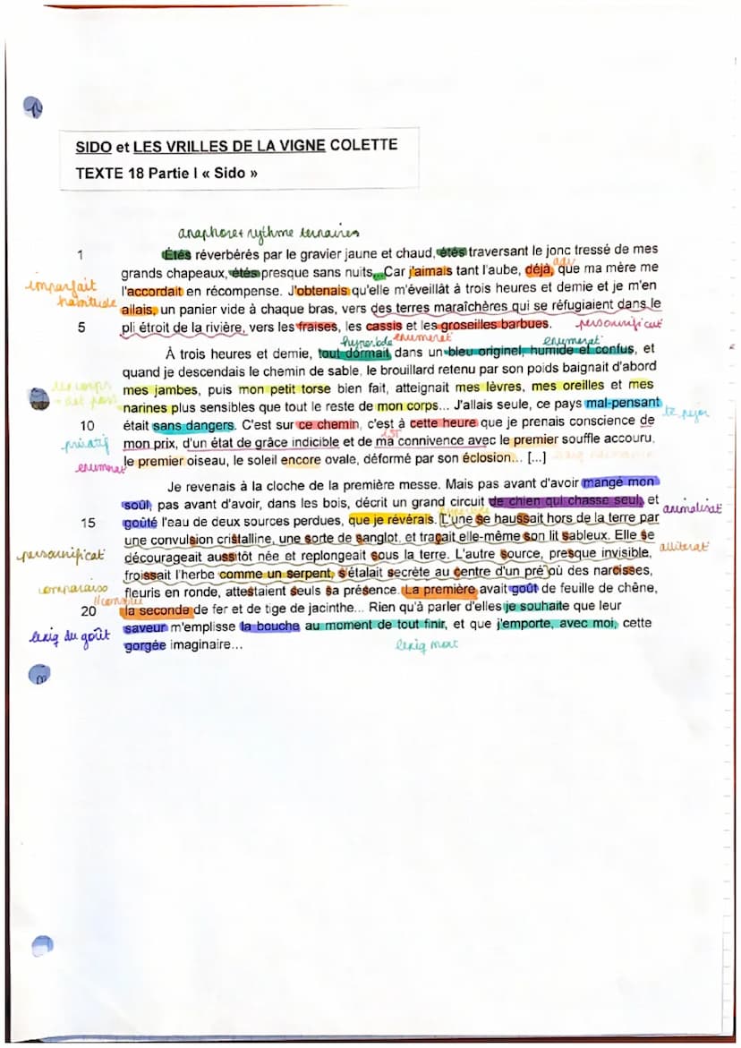 TEXTE 18
・
"Sido" partic's Colette, sido
"Sido" est is de Colette est un neut autobregraphiq qui plange le lecteer dans l'unues
intime et si