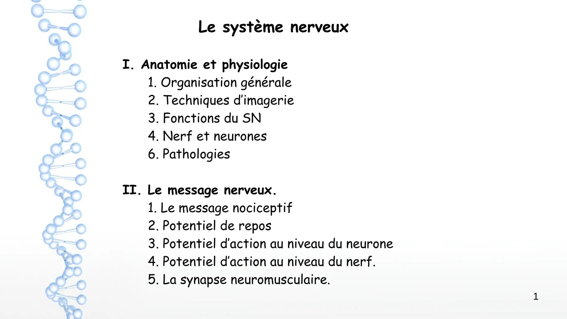 Le système nerveux
I. Anatomie et physiologie
1. Organisation générale
2. Techniques d'imagerie
3. Fonctions du SN
4. Nerf et neurones
6. Pa