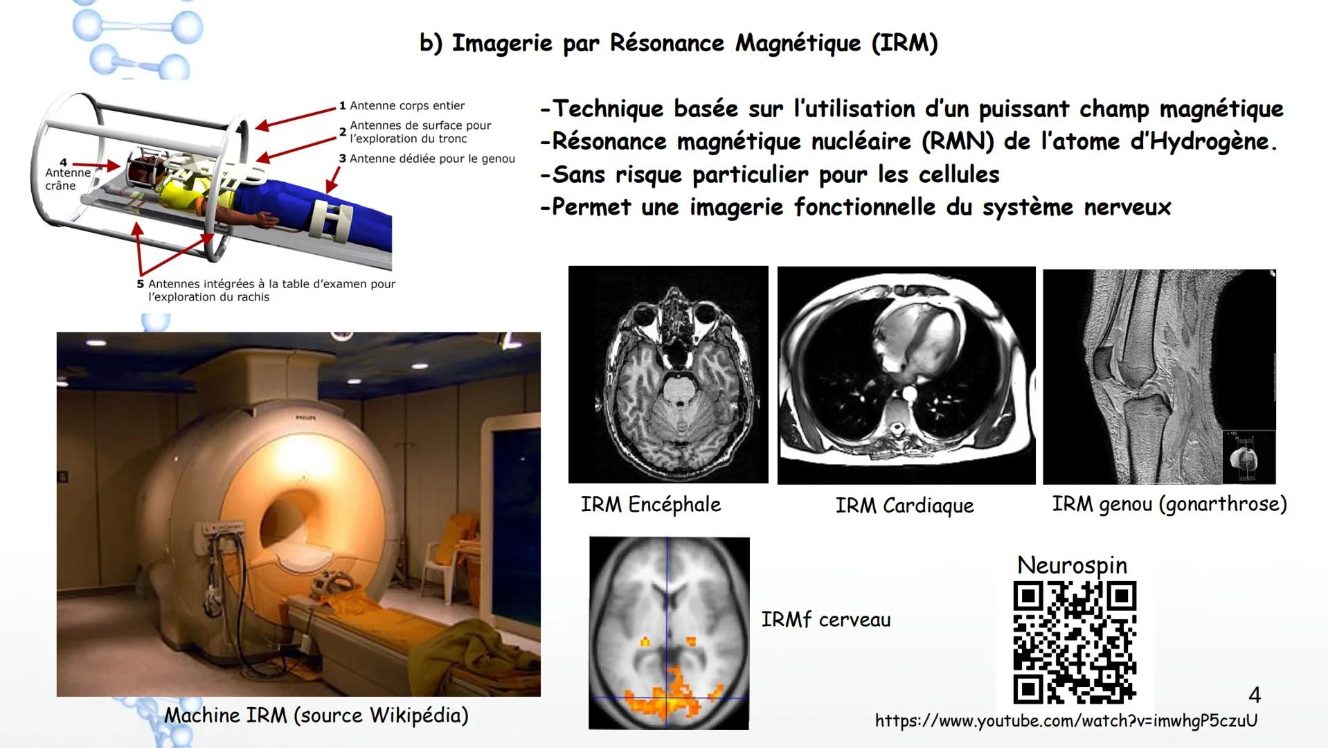 Le système nerveux
I. Anatomie et physiologie
1. Organisation générale
2. Techniques d'imagerie
3. Fonctions du SN
4. Nerf et neurones
6. Pa