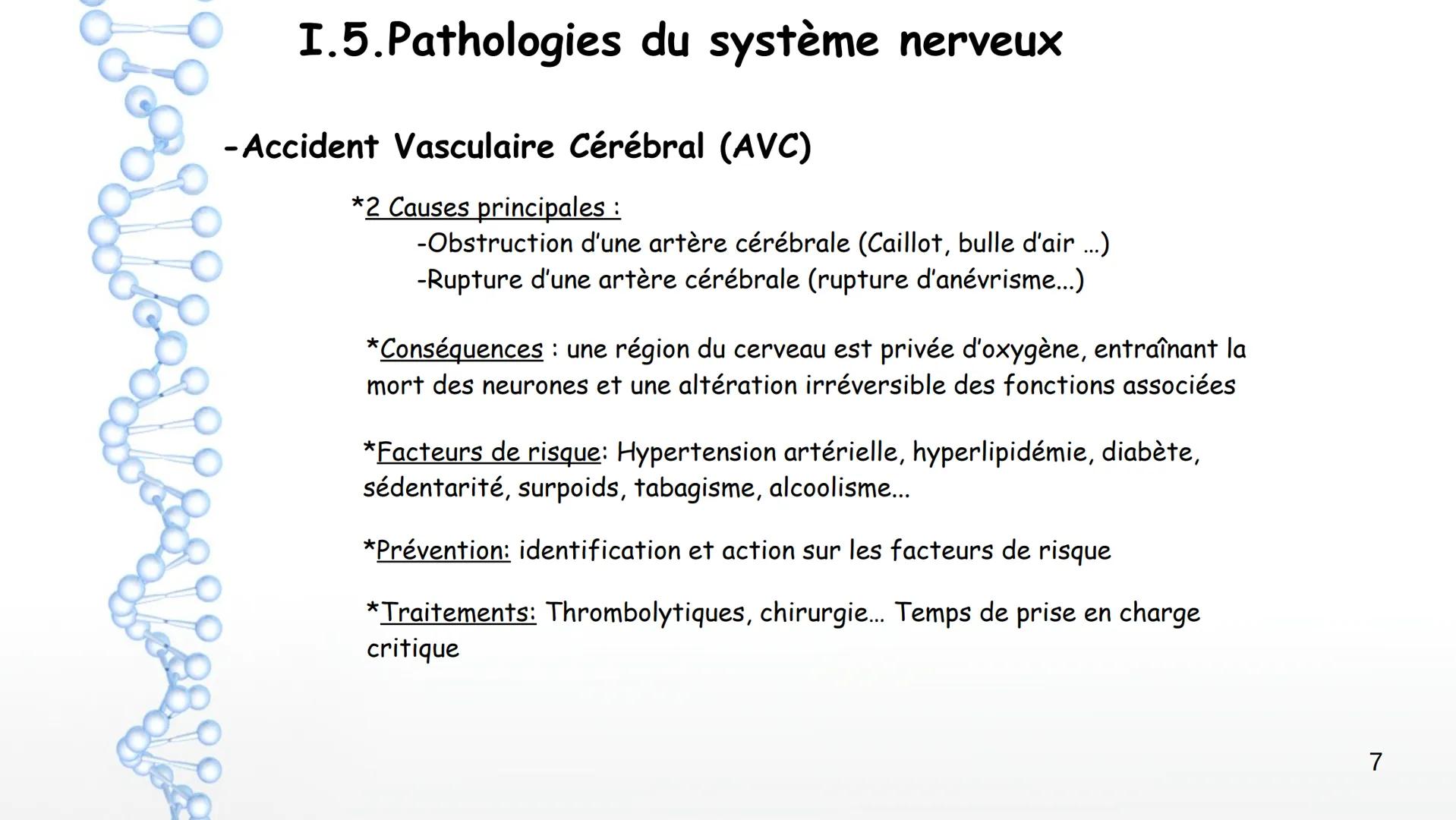 Le système nerveux
I. Anatomie et physiologie
1. Organisation générale
2. Techniques d'imagerie
3. Fonctions du SN
4. Nerf et neurones
6. Pa