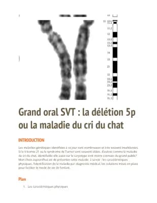 Know Grand oral SVT / comment présenter son grand oral  thumbnail