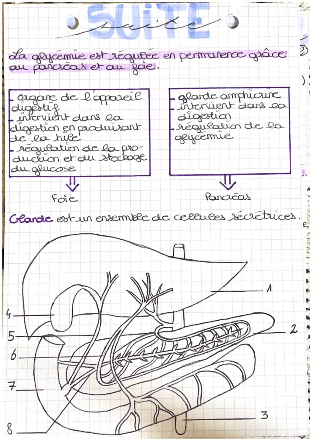 منهم من كريم
شود
glyco) = glucose émie = concentration dans le sang
glycémie est le tauxe de glucose dans le sang
glucose: nutriment energet