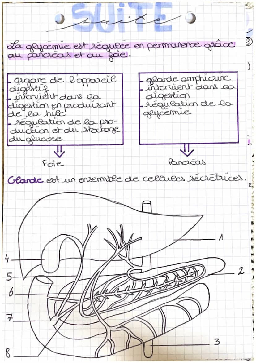منهم من كريم
شود
glyco) = glucose émie = concentration dans le sang
glycémie est le tauxe de glucose dans le sang
glucose: nutriment energet