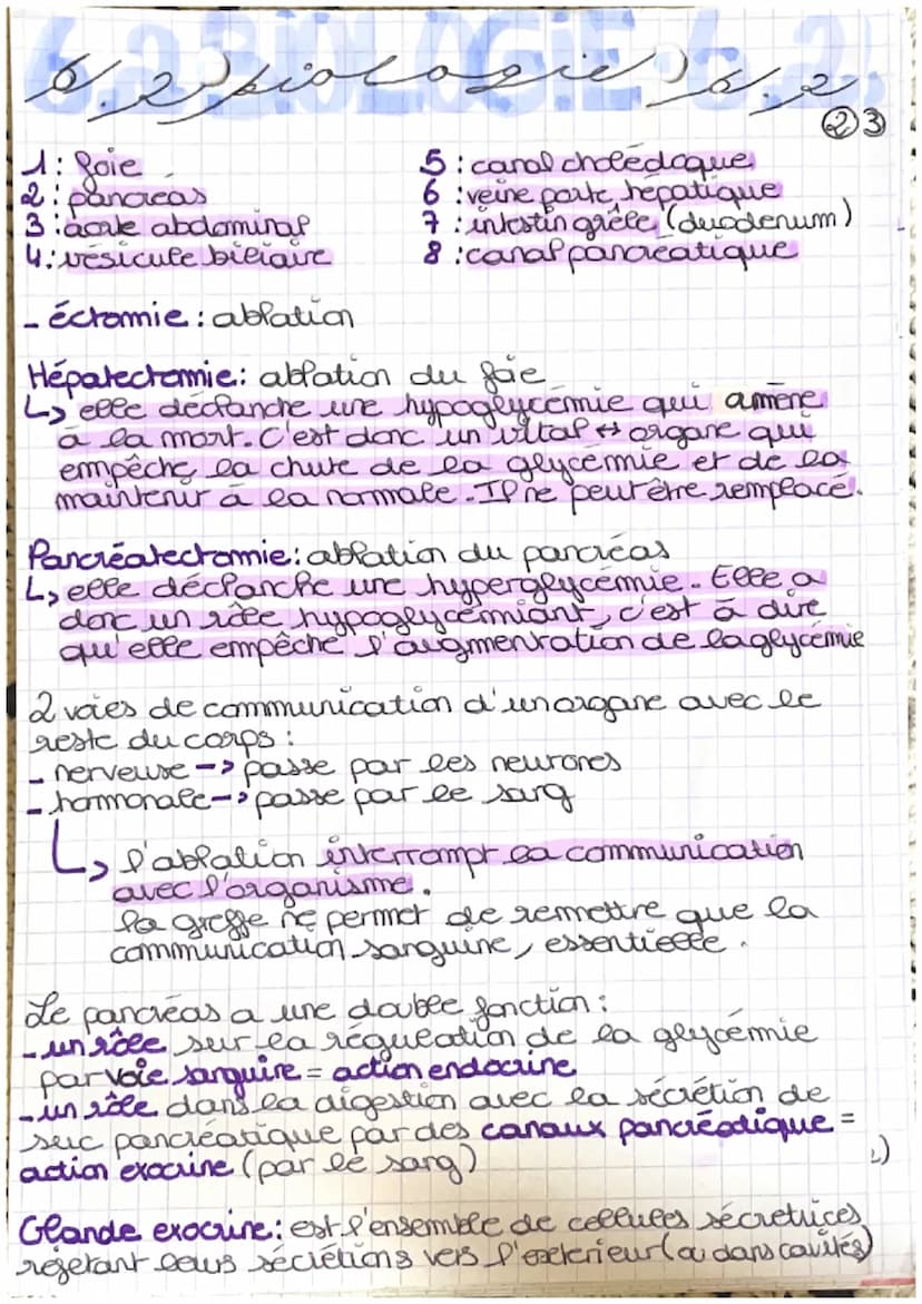 منهم من كريم
شود
glyco) = glucose émie = concentration dans le sang
glycémie est le tauxe de glucose dans le sang
glucose: nutriment energet