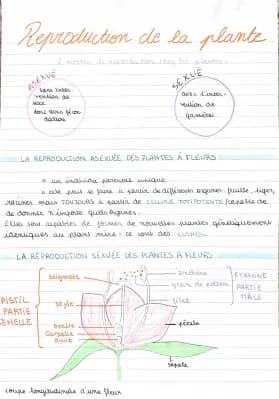 Know La reproduction des plantes  thumbnail