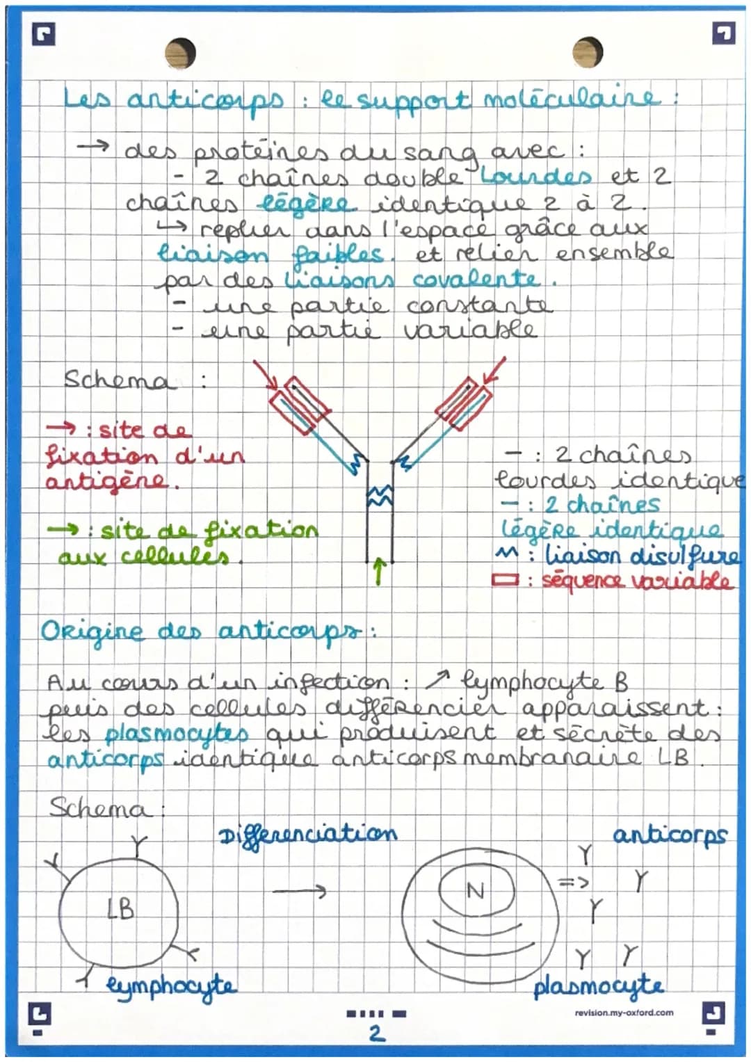immunité adaptative
Immunite adaptative: prolongement de
e' imunité inée (uniquement chez les
vertébrés
Caractéristique de cette immunités:
