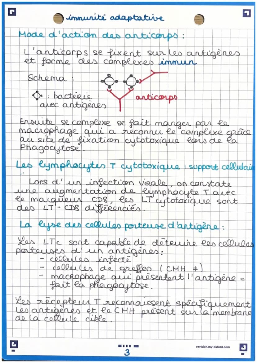 immunité adaptative
Immunite adaptative: prolongement de
e' imunité inée (uniquement chez les
vertébrés
Caractéristique de cette immunités:
