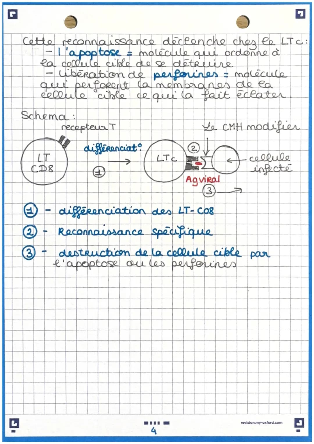 immunité adaptative
Immunite adaptative: prolongement de
e' imunité inée (uniquement chez les
vertébrés
Caractéristique de cette immunités:
