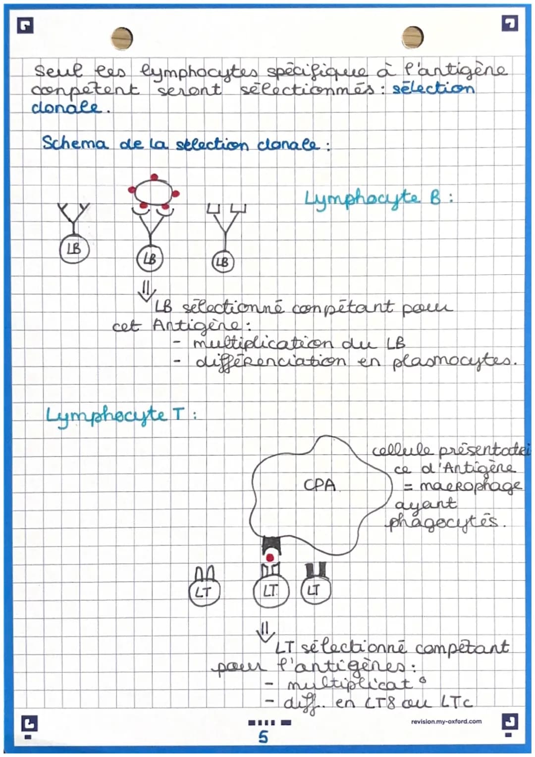 immunité adaptative
Immunite adaptative: prolongement de
e' imunité inée (uniquement chez les
vertébrés
Caractéristique de cette immunités:
