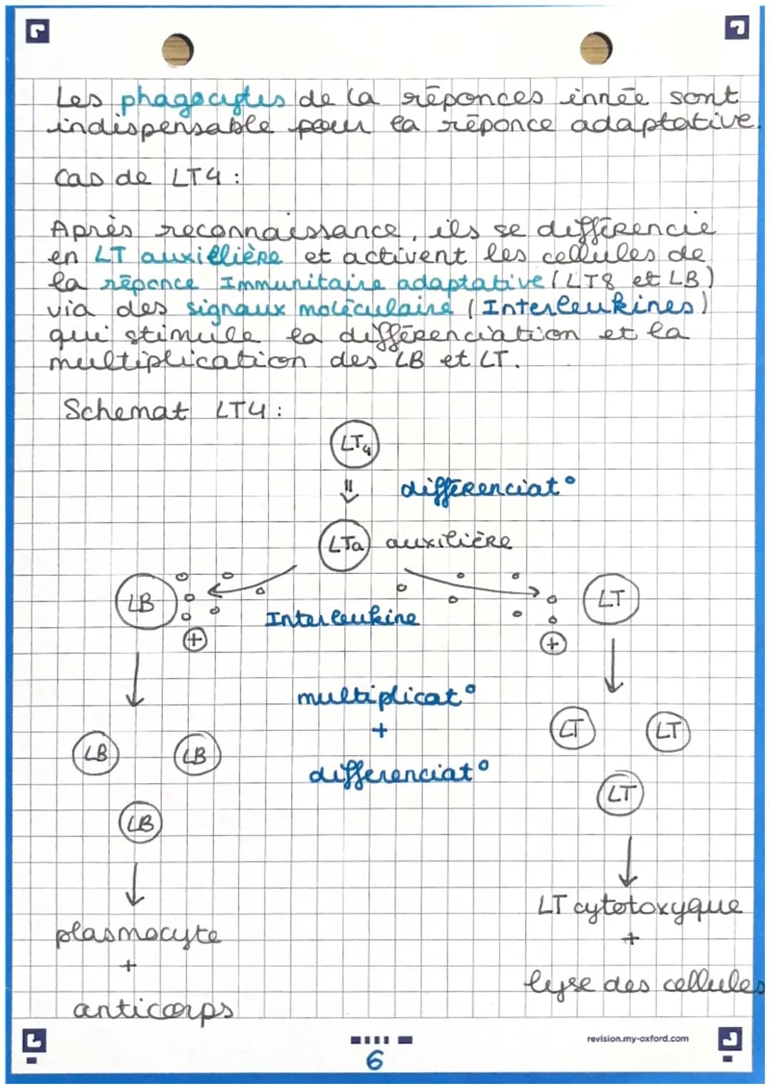 immunité adaptative
Immunite adaptative: prolongement de
e' imunité inée (uniquement chez les
vertébrés
Caractéristique de cette immunités:
