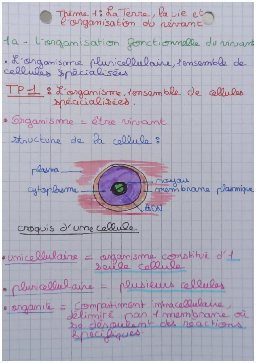 Thème I: LA TERRE, LA VIE, ET L'ORGANISATION DU VIVANT / TP1