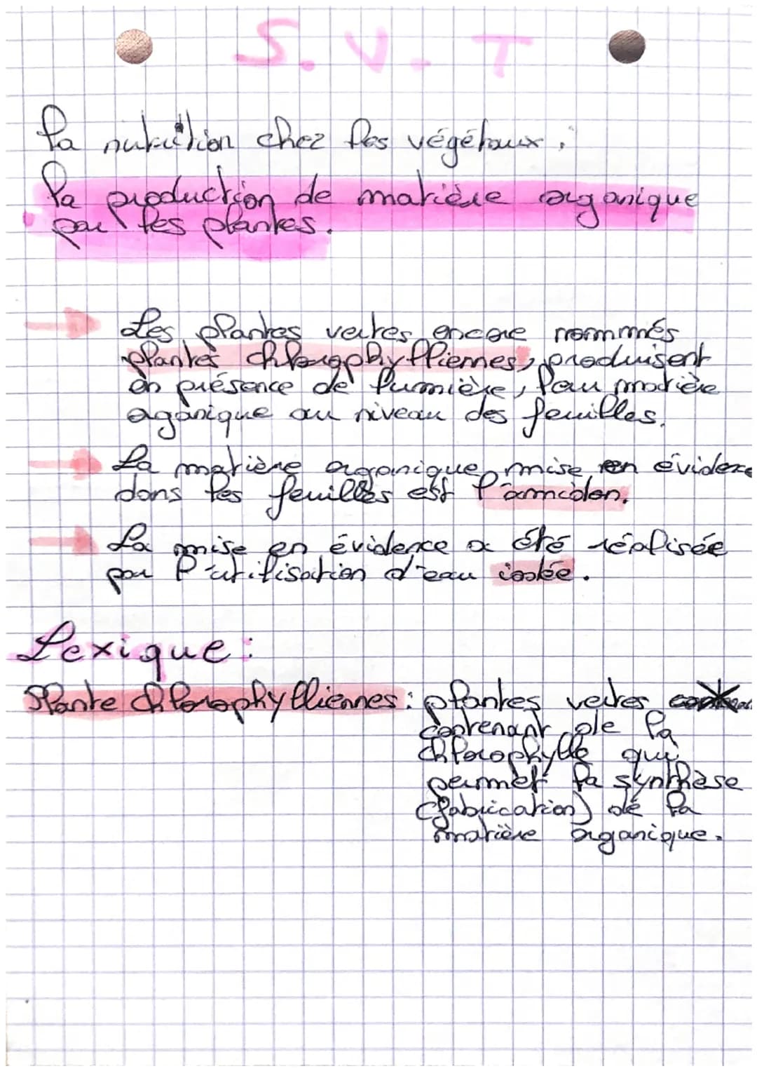 fa nuruction chez les végétaux,
Pa production de matière organique
pou les plantes.
Les plantes vertes encore mormés
plantes chrophy fliemes