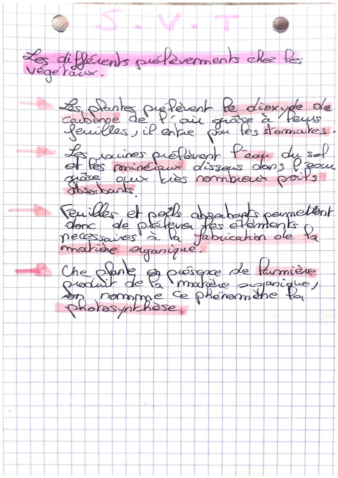 fa nuruction chez les végétaux,
Pa production de matière organique
pou les plantes.
Les plantes vertes encore mormés
plantes chrophy fliemes