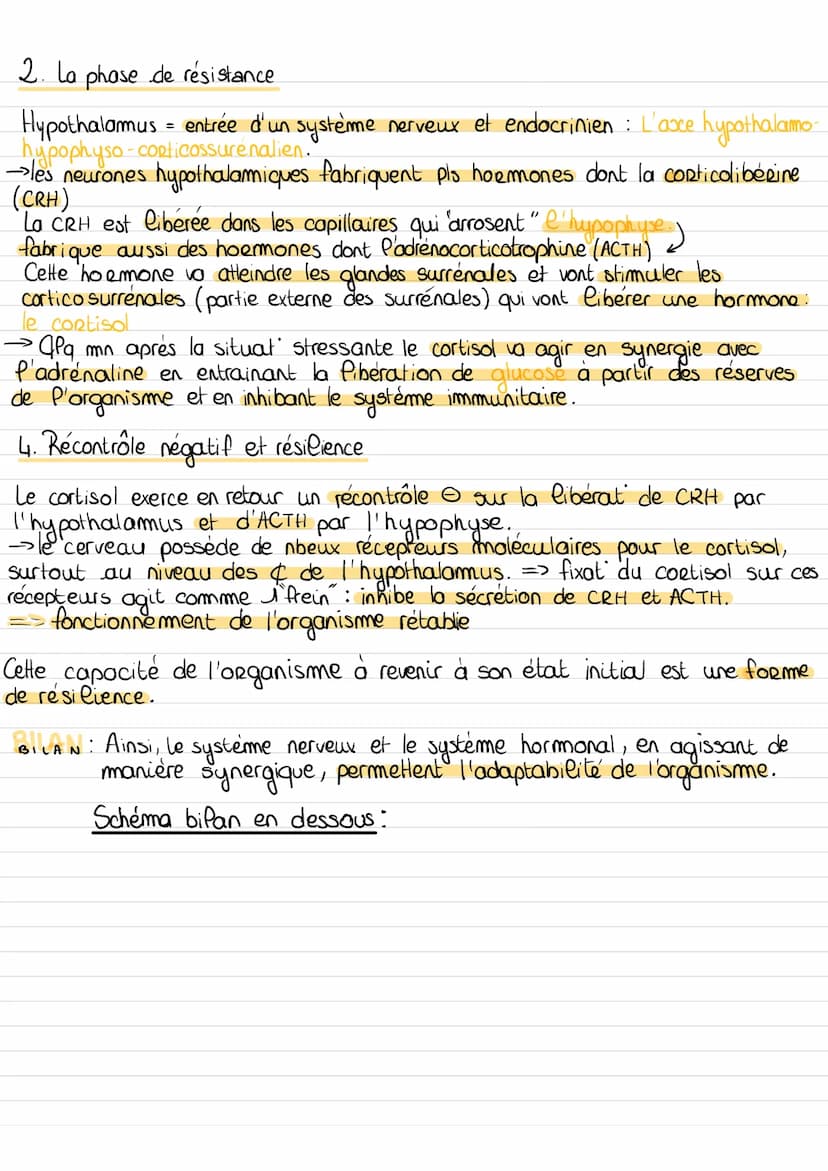 L'ADAPTABILITE DE L'ORGANISME
1. Le stress aigu
→ réponses adaptatives (physiologiques, cognitives, émotionelles, comportementale) de
organi