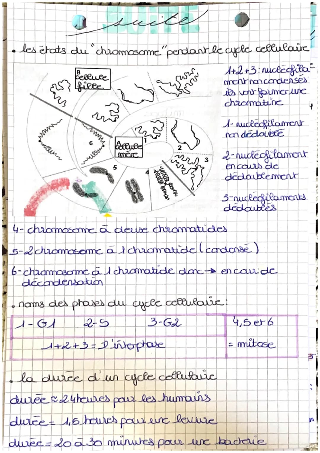 Cellule et information génétique : 1
مده فرو مامند کار رو
نیر
localisation de la cellule dans le
●
nayou
• nature du materiel genétique: 46 