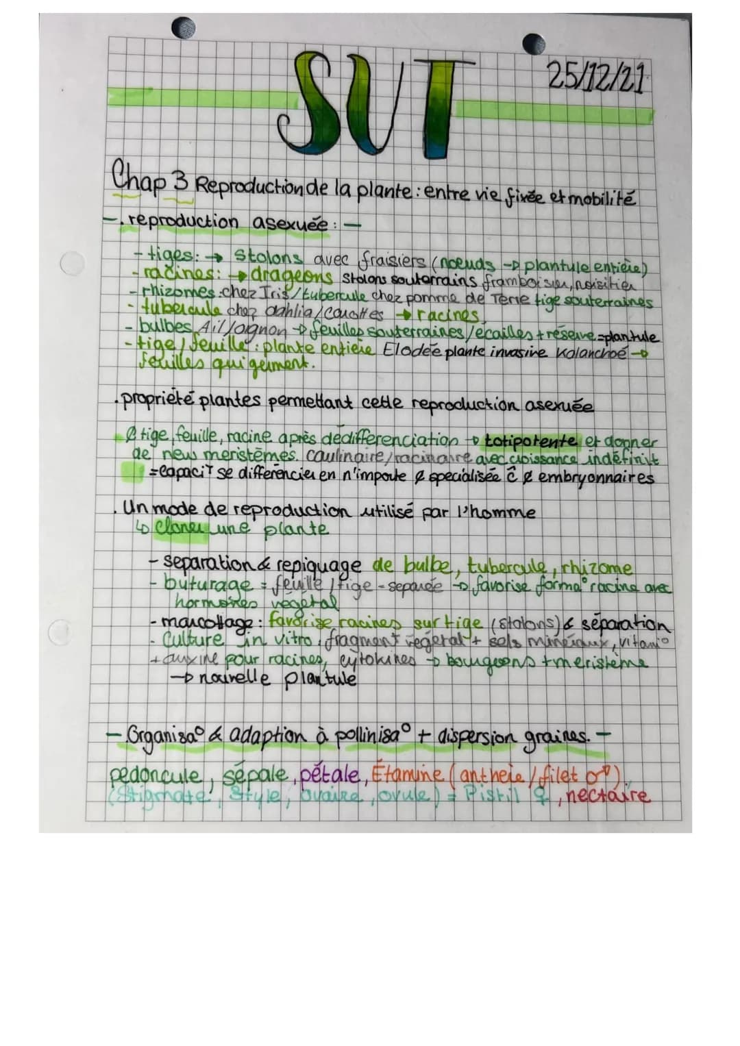 O
SUT
Chap 3 Reproduction de la plante: entre vie fixée et mobilité
reproduction asexuee:-
-tiges:· → stolons avec fraisiers (noeuds -plantu