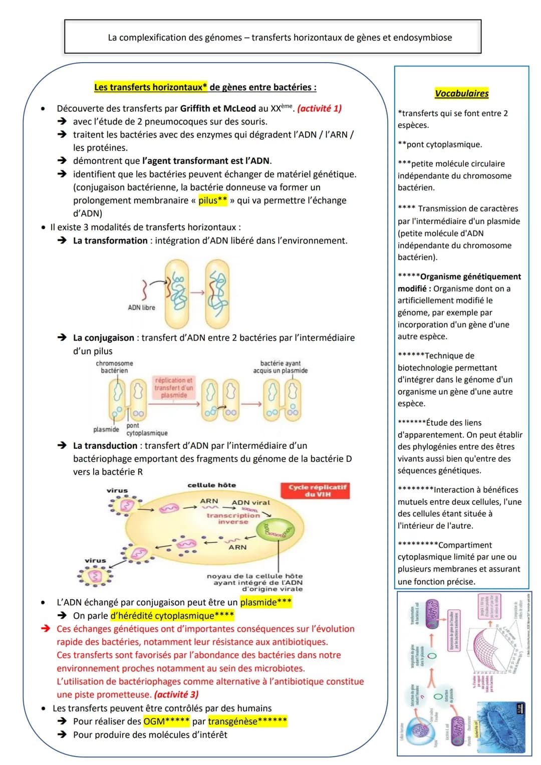 La complexification des génomes - transferts horizontaux de gènes et endosymbiose
Les transferts horizontaux* de gènes entre bactéries :
Déc