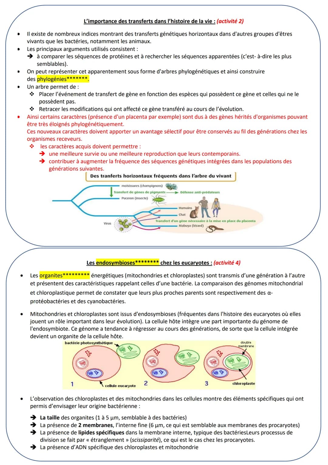 La complexification des génomes - transferts horizontaux de gènes et endosymbiose
Les transferts horizontaux* de gènes entre bactéries :
Déc