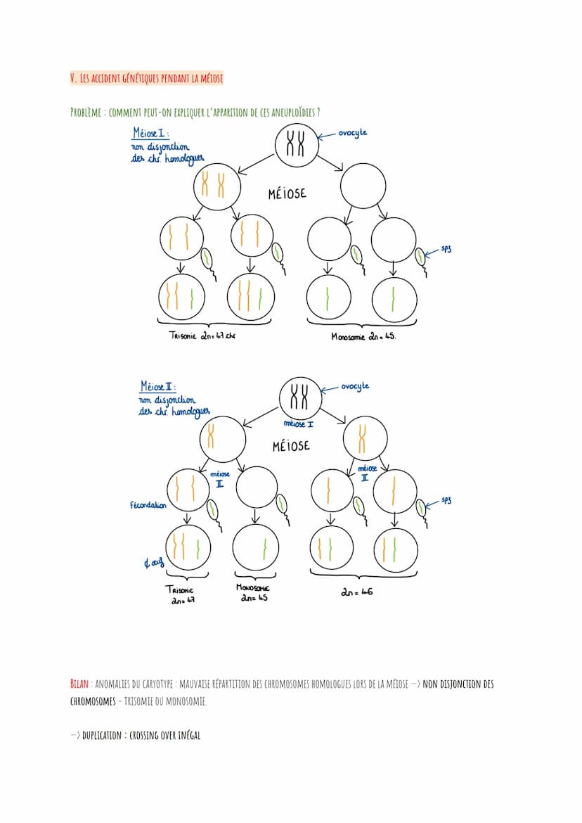 RAPPELS SUR LA MEIOSE:
I.
LA PROPHASE I
LA MÉTAPHASE I
L'ANAPHASE I
LA TÉLOPHASE
ANAPHASE II
TÉLOPHASE II
..
●
88
DEFINITIONS SYMPAS À SAVOI