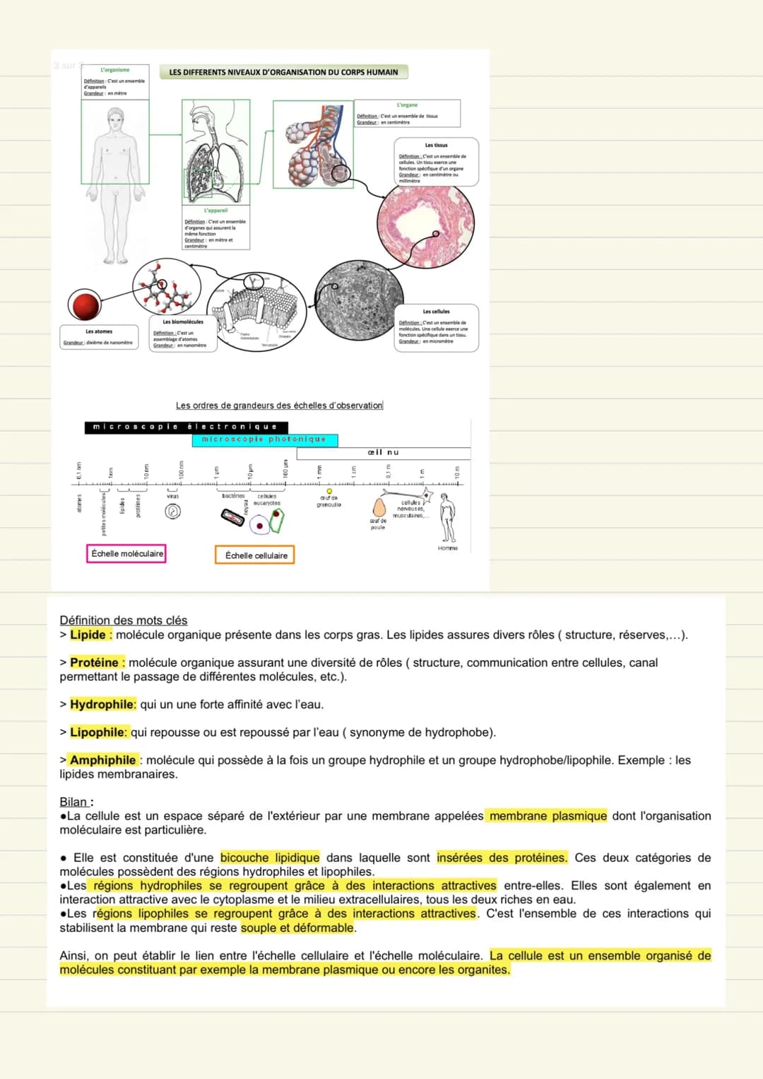 UNE STRUCTURE
COMPLEXE: LA CELLULE
VIVANTE Définition:
Cellule élément de base qui
constitue le vivant.
théorie cellulaire_tout être vivant
