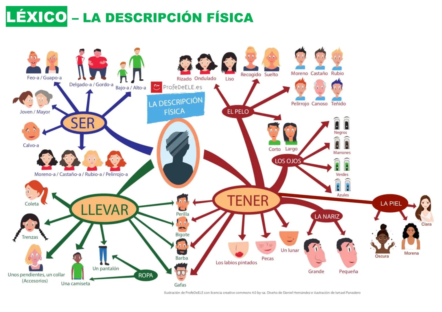 UNIDAD 4
Así me gusta vestirme
LÉXICO
GRAMÁTICA LÉXICO - LA DESCRIPCIÓN FÍSICA
Feo-a/Guapo-a
Joven / Mayor
Calvo-a
Coleta
Trenzas
Delgado-a/