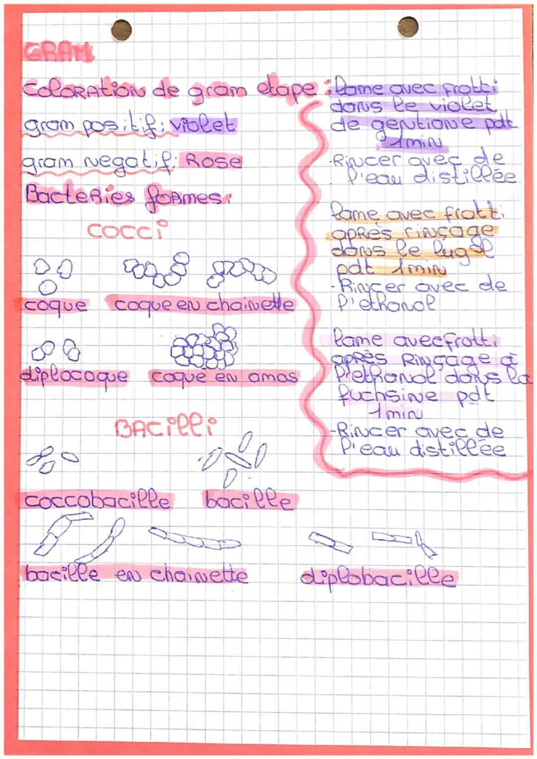 BIOTECHIVO 19
FORMULES:
Calcul d'une masse: M = cx V
2
m = M XC XV sci
Calcul dilution sol mère : C = m
V
G=
Σε
calcul N en UFC mL (deNombre