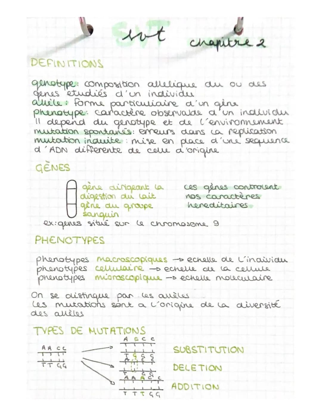 Schémas et cours sur les mutations