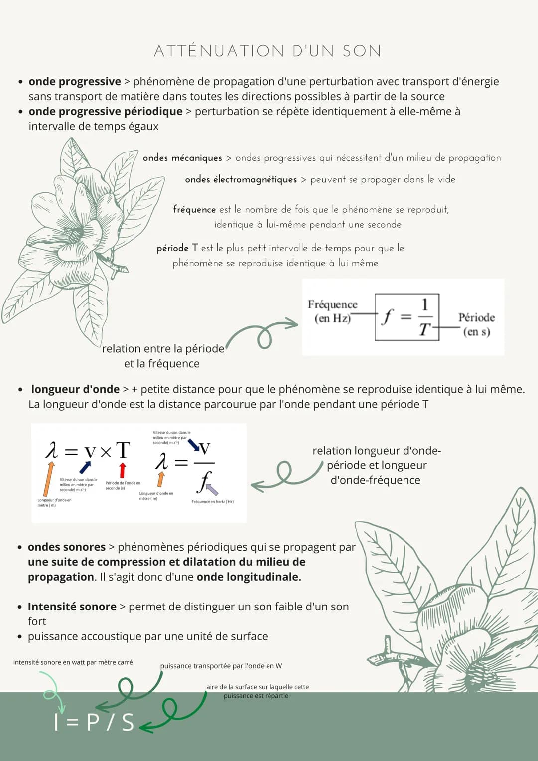 ATTÉNUATION
D'UN SON
• onde progressive > phénomène de propagation d'une perturbation avec transport d'énergie
sans transport de matière dan