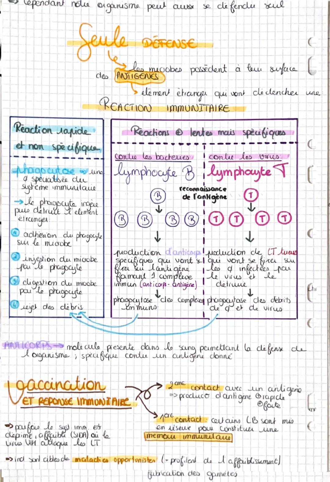 # L'immunologie

bene fiques
cactions de l'organisme face ano
ou non micro-organismes qui nous entoment

Sont:

-bacteries
-vinu
bad
geses q
