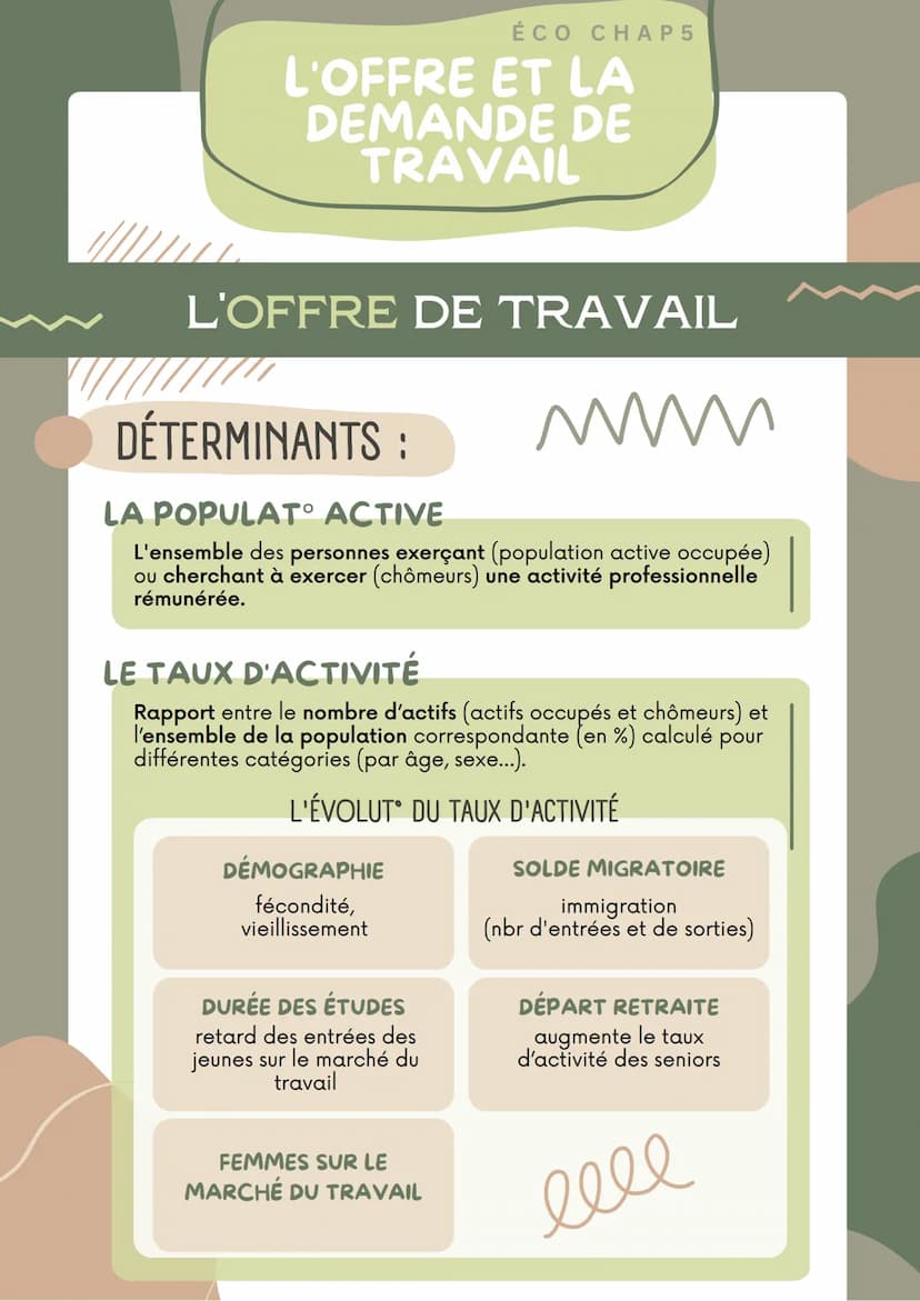 ÉCO CHAP 5
L'OFFRE ET LA
DEMANDE DE
TRAVAIL
LE MARCHÉ DU TRAVAIL
LE MARCHÉ DU TRAVAIL
DÉFINITION
Marché mettant en relation ceux qui offrent