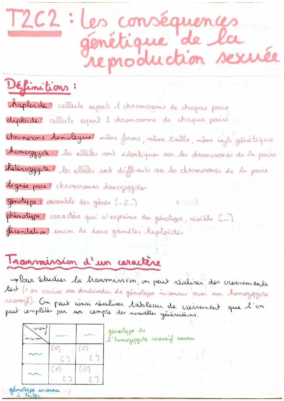 Exploration de la Génétique en SVT: Arbres Généalogiques et Anomalies Chromosomiques