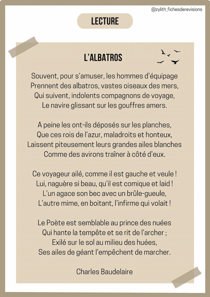 1/
INTRODUCTION
Français
Analyse linéaire : L'albatros
Charles Baudelaire
@zylith_fichesderevisions
L'AUTEUR: Charles Baudelaire était un cé