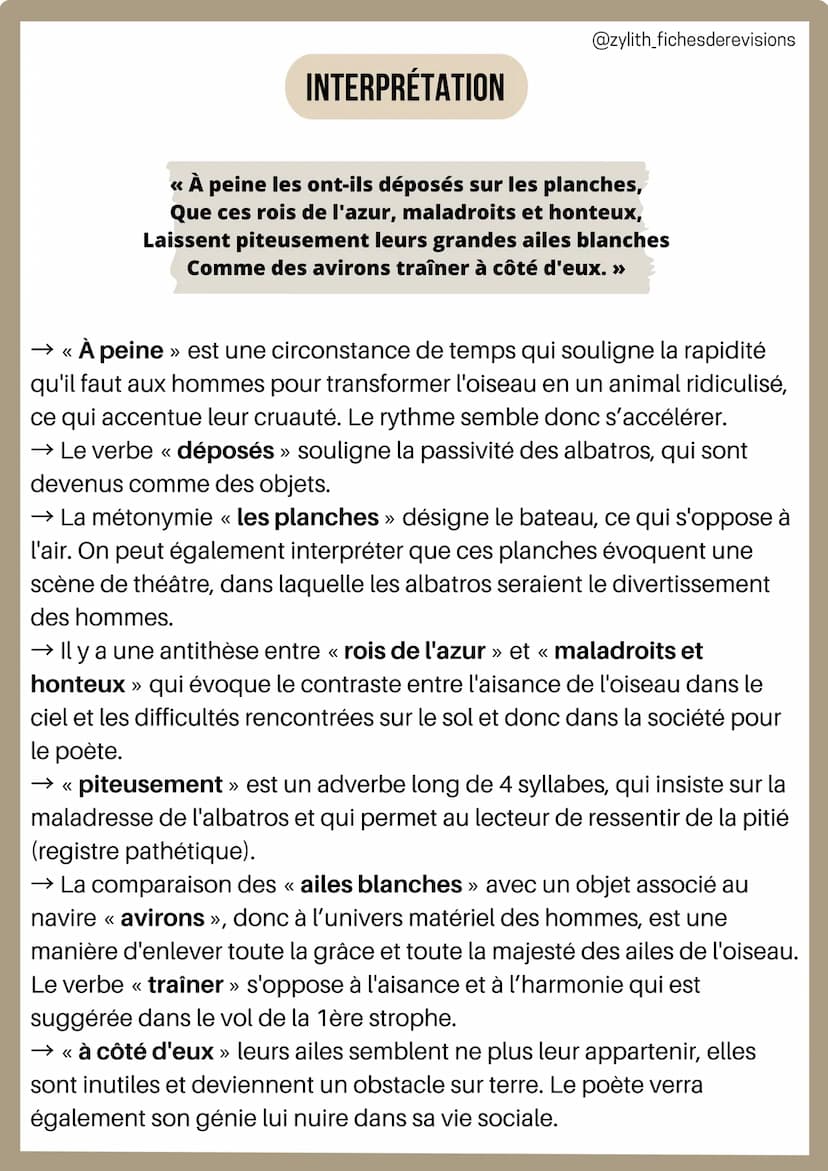 1/
INTRODUCTION
Français
Analyse linéaire : L'albatros
Charles Baudelaire
@zylith_fichesderevisions
L'AUTEUR: Charles Baudelaire était un cé