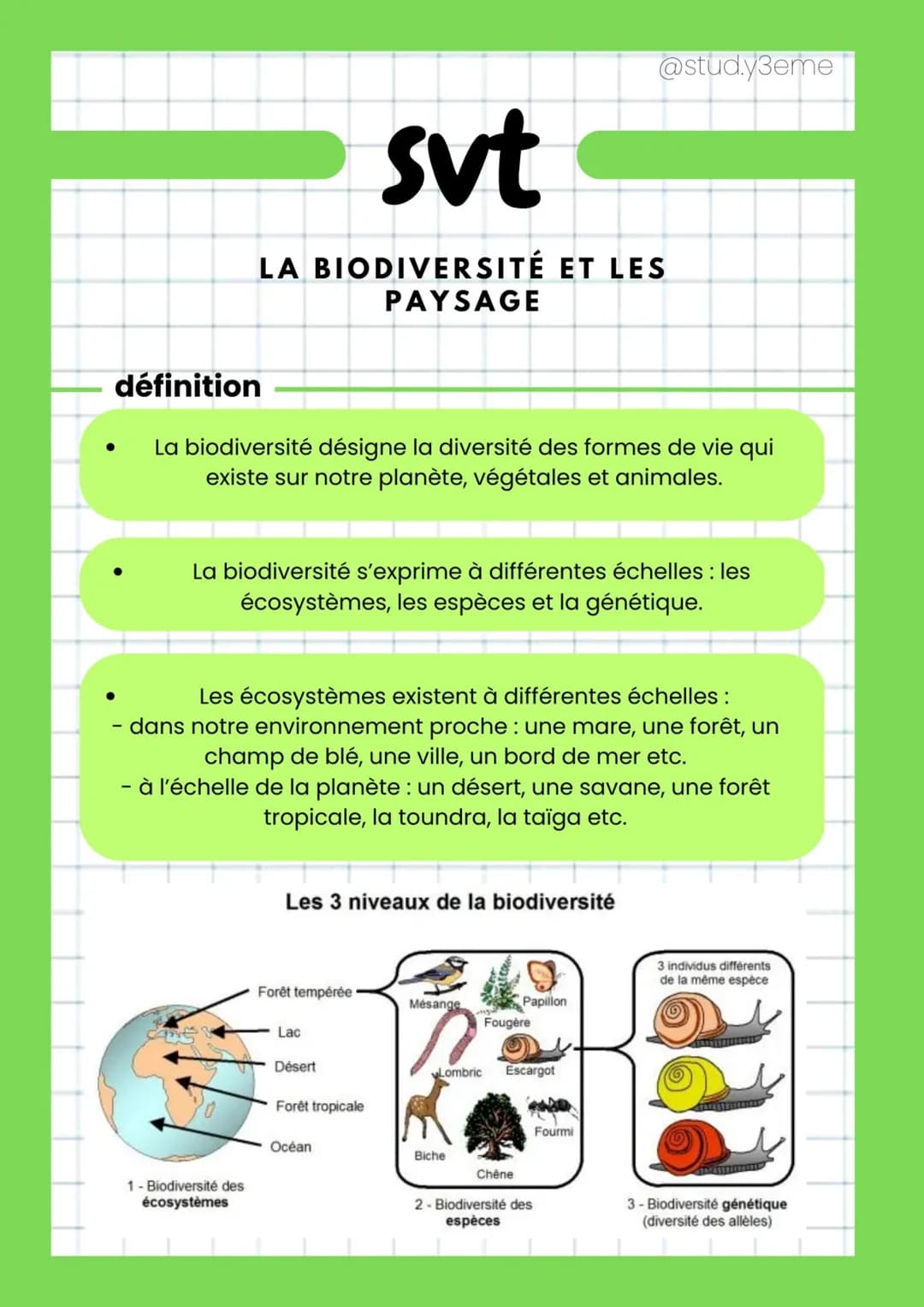 définition
La biodiversité désigne la diversité des formes de vie qui
existe sur notre planète, végétales et animales.
svt
LA BIODIVERSITÉ E