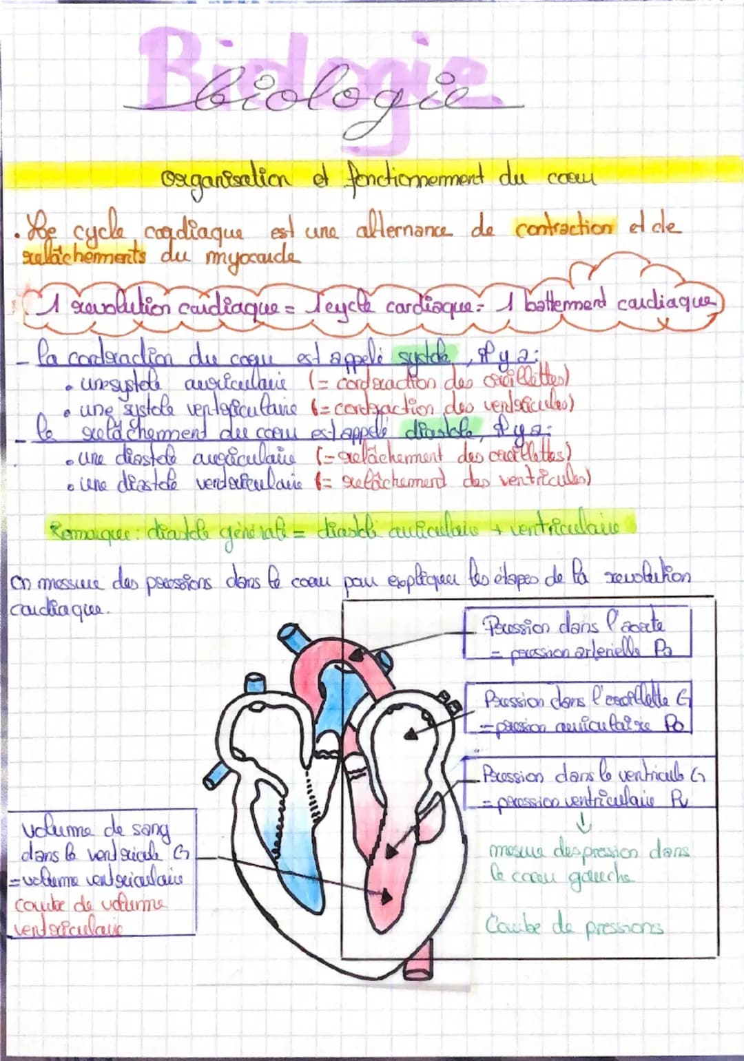Barologie
Organisation et fonctionnement du comm
•he cycle cardiaque est une alternance de contraction et de
sulachements du myocarde
I revo