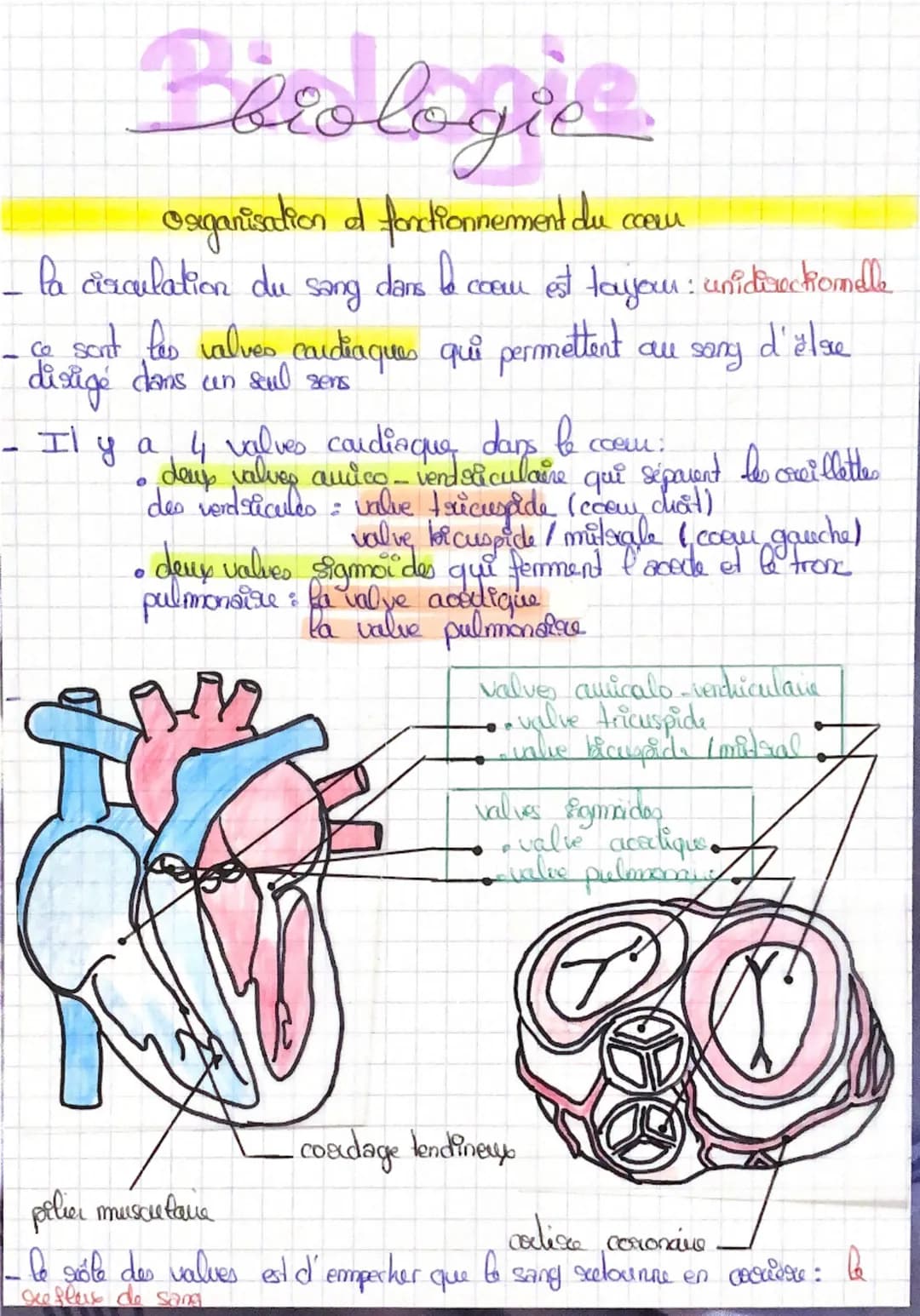 Barologie
Organisation et fonctionnement du comm
•he cycle cardiaque est une alternance de contraction et de
sulachements du myocarde
I revo