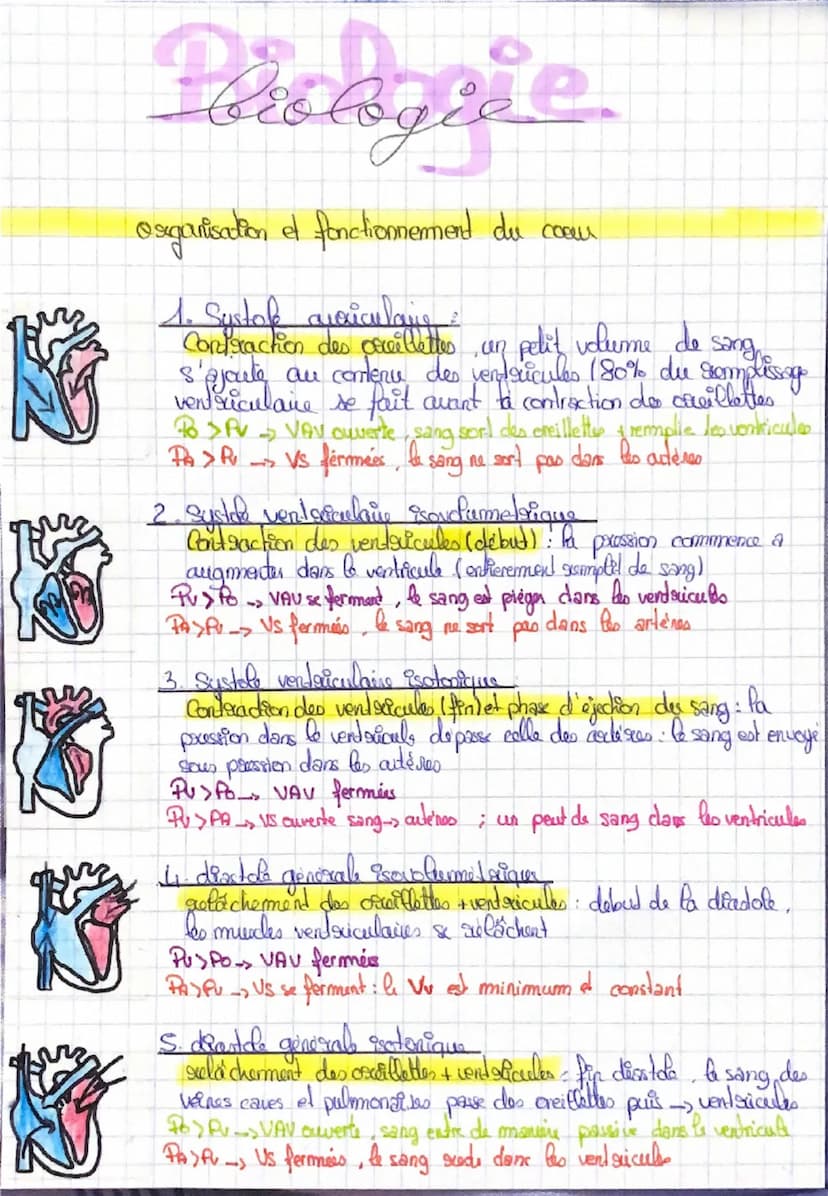 Barologie
Organisation et fonctionnement du comm
•he cycle cardiaque est une alternance de contraction et de
sulachements du myocarde
I revo