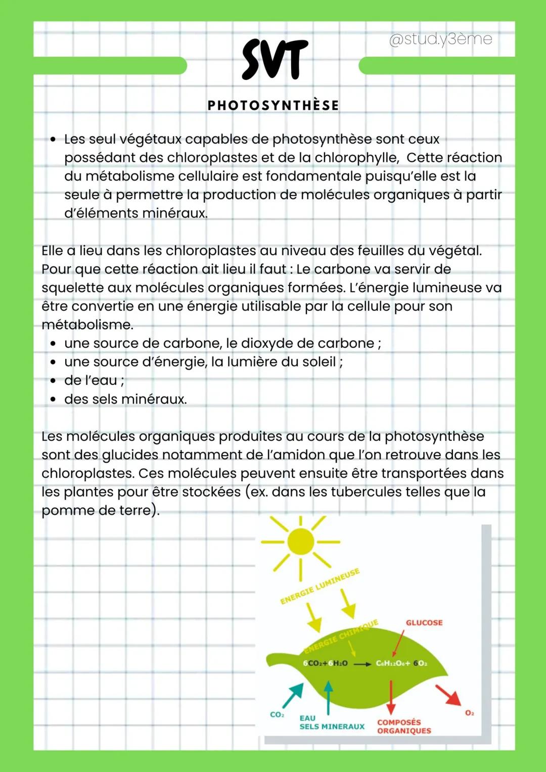 SVT
PHOTOSYNTHÈSE
• Les seul végétaux capables de photosynthèse sont ceux
possédant des chloroplastes et de la chlorophylle, Cette réaction
