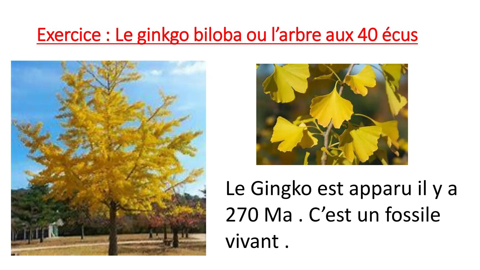 Cours du mardi 13.12 Grâce à toutes vos réponses répondre aux
problèmes :
• Comment retracer les changements climatiques passés ?
On peut re