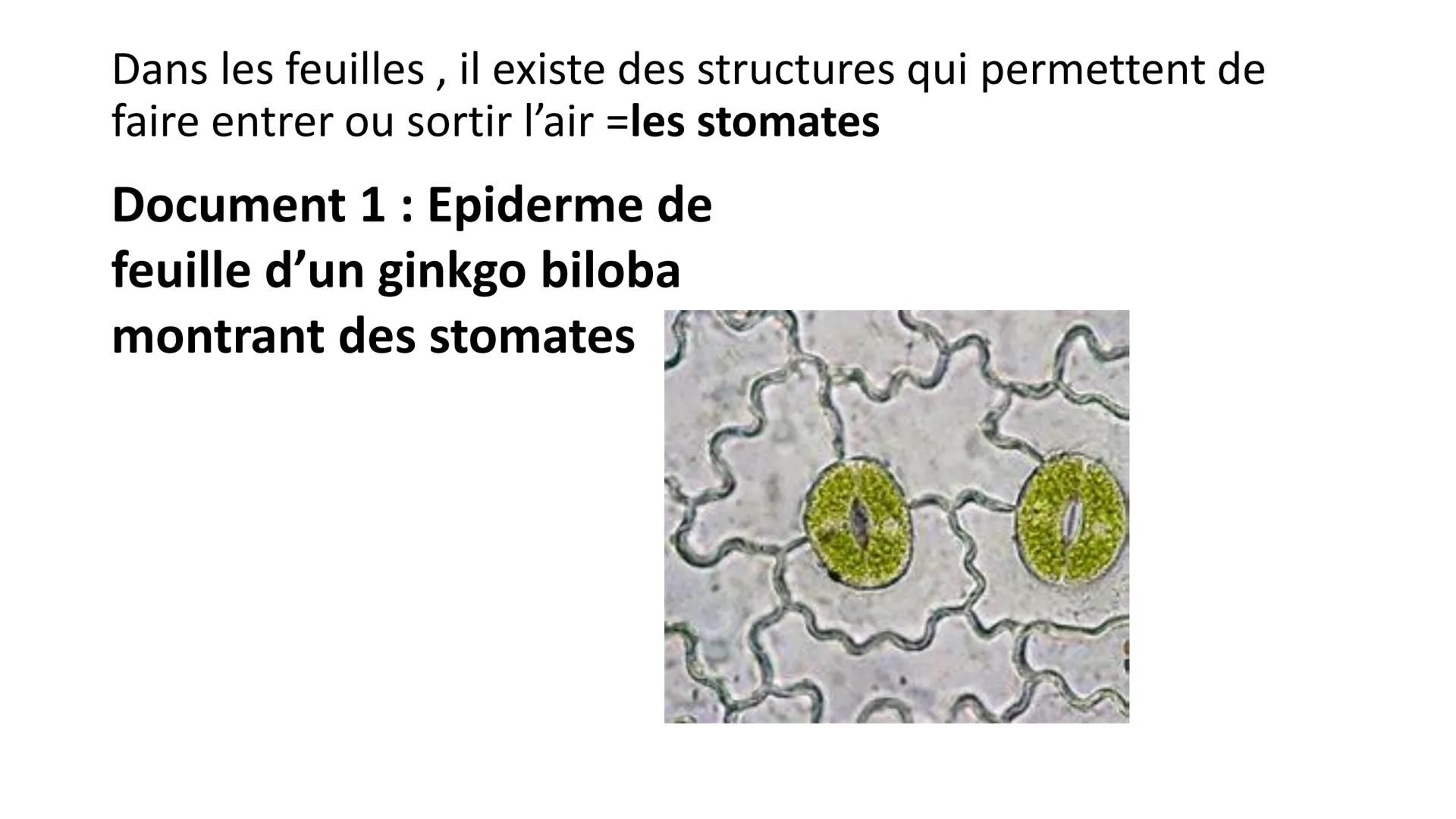 Cours du mardi 13.12 Grâce à toutes vos réponses répondre aux
problèmes :
• Comment retracer les changements climatiques passés ?
On peut re