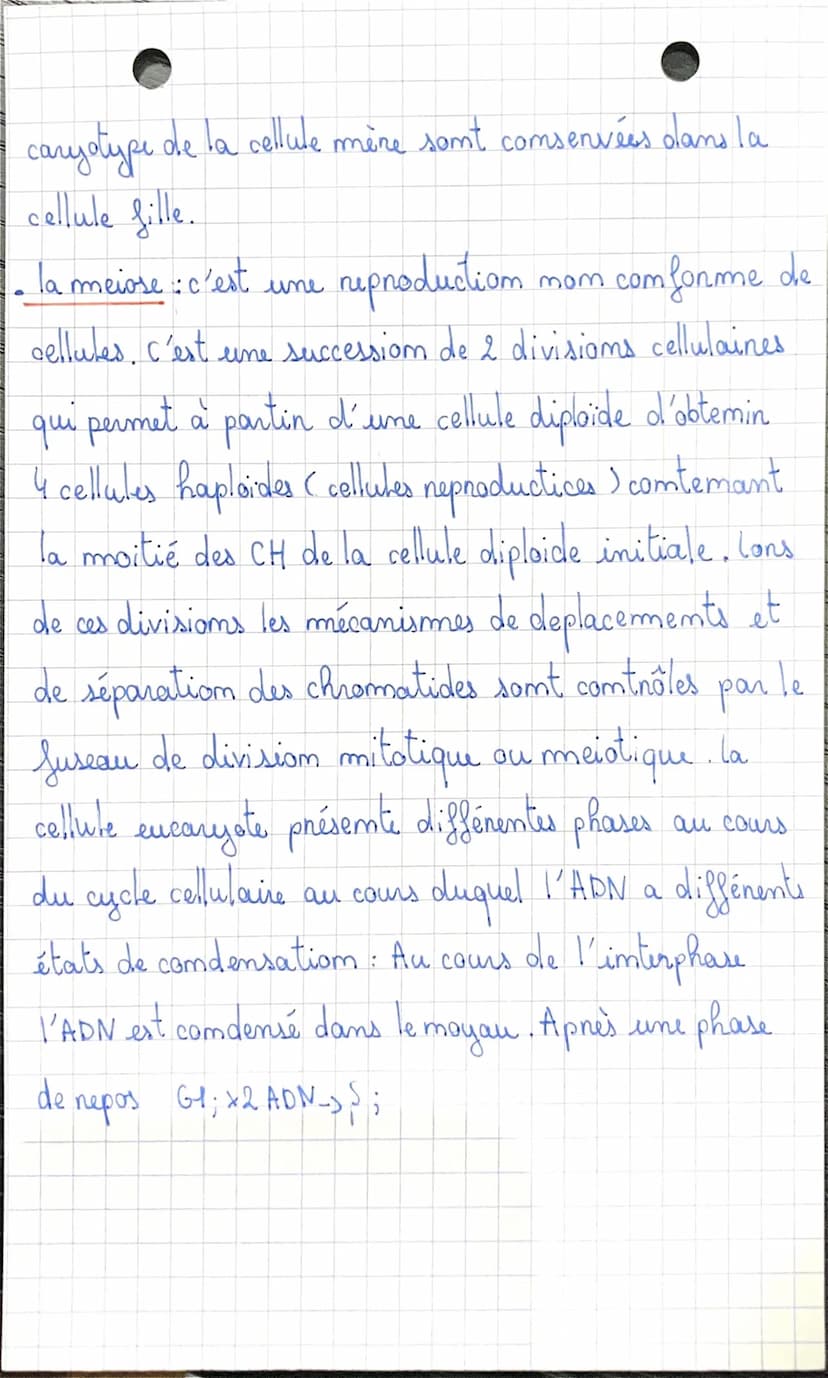 HITOSE - MELOSE
• les cellules eucaryotes : Camimaux, végétaux, champigmoms).
sont caracthénisées par un matériel gémétique, ADN
em formé da