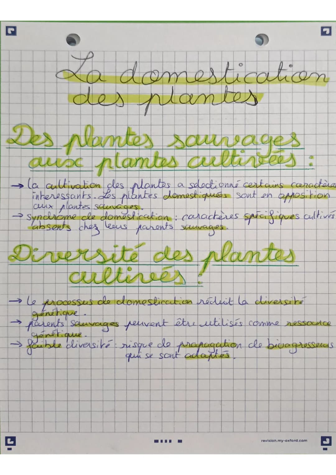 La domestication des plantes