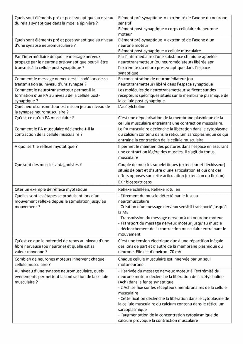 Sous-sous-
partie
Questions
Qu'est-ce qu'un réflexe ?
3.1.1
Les réflexes
Qu'est-ce que le réflexe myotatique ?
Quels sont les éléments fonct