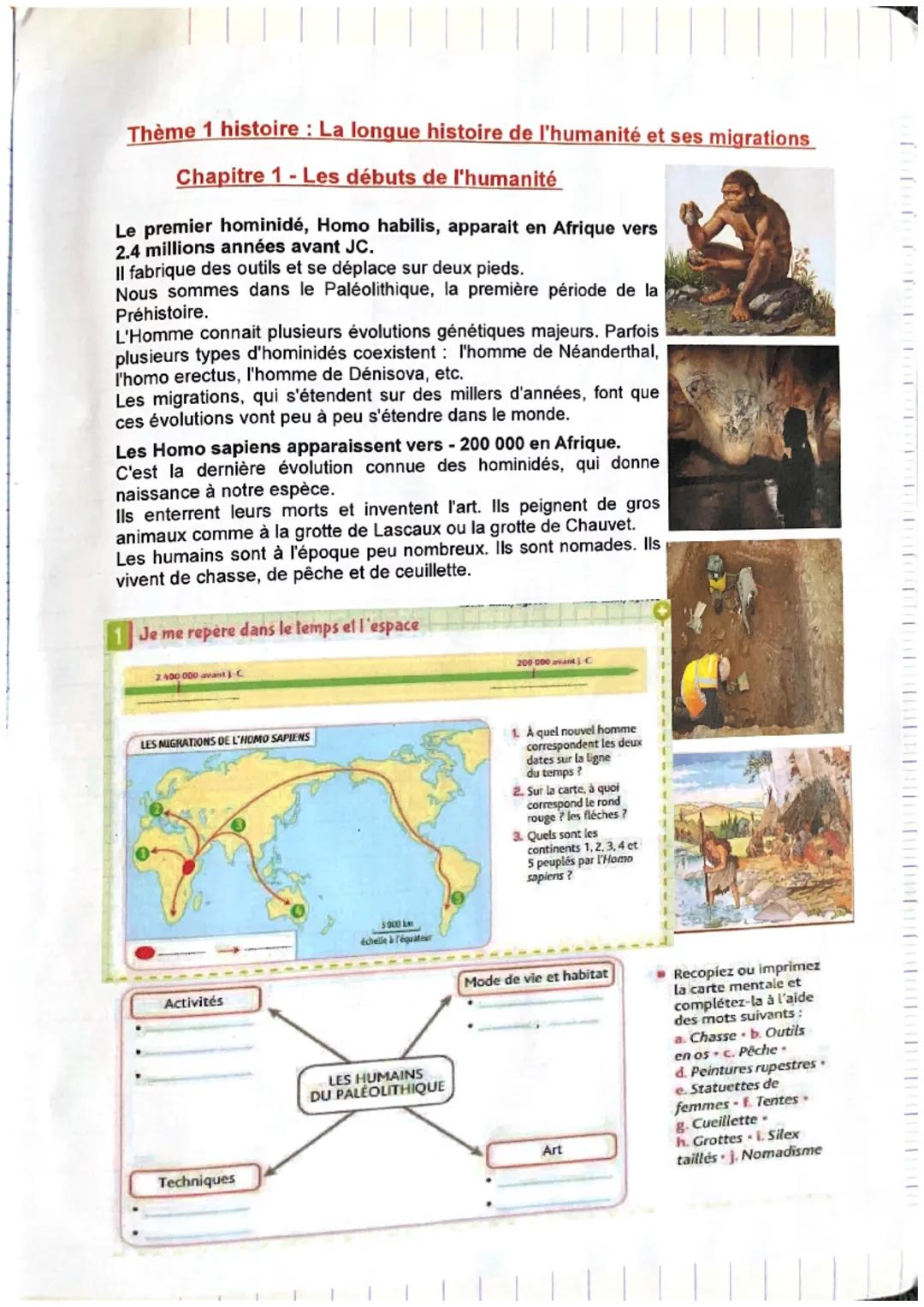 Thème 1 histoire : La longue histoire de l'humanité et ses migrations
Chapitre 1 - Les débuts de l'humanité
Le premier hominidé, Homo habili