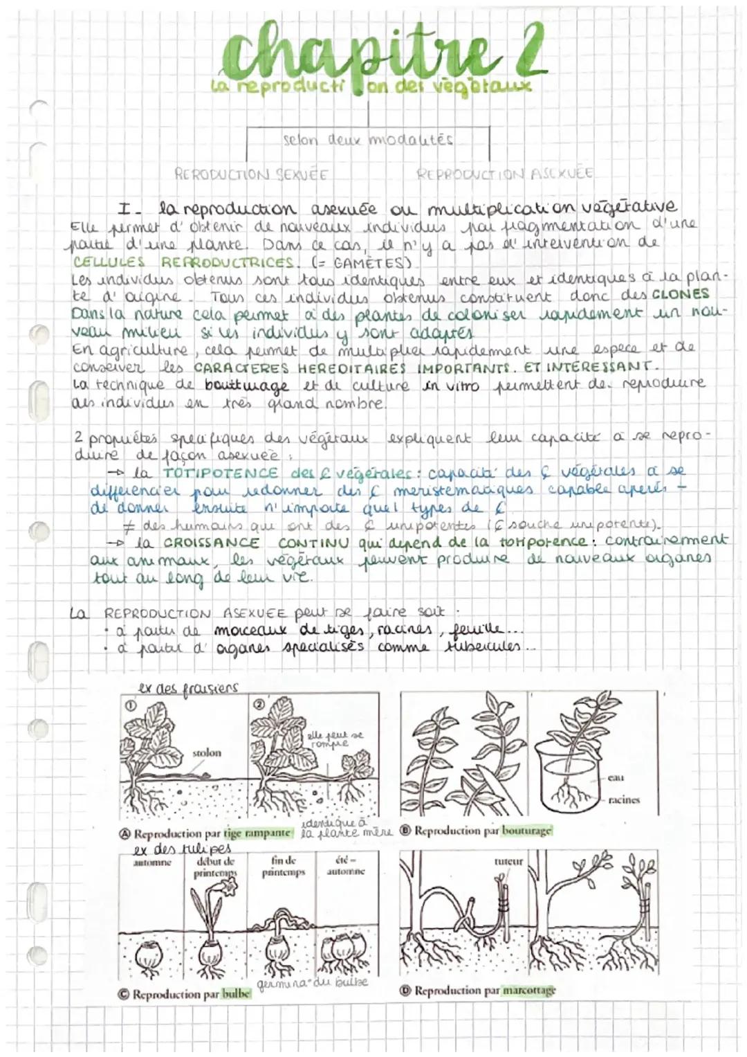 la reproduction des végétaux 