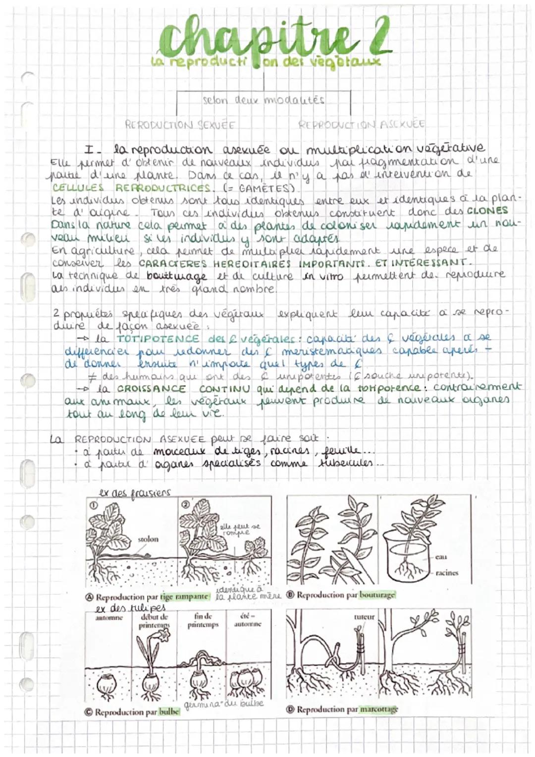 chapitre 2
La reproduction des vegetaux
RERODUCTION SEXUEE
selon deux modautés
I la reproduction asexuée on multiplication vegetative
Elle p
