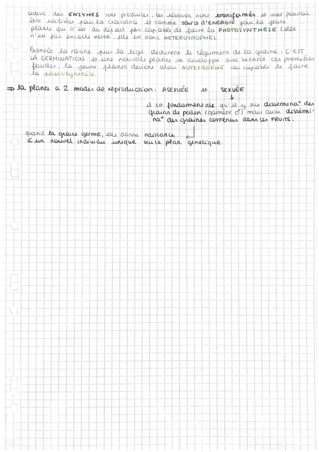 chapitre 2
La reproduction des vegetaux
RERODUCTION SEXUEE
selon deux modautés
I la reproduction asexuée on multiplication vegetative
Elle p