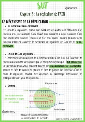 Know La réplication de l'ADN thumbnail